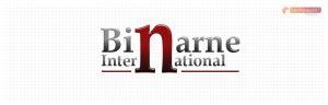 Logo firmy 016 - wypukłe - Binarne International